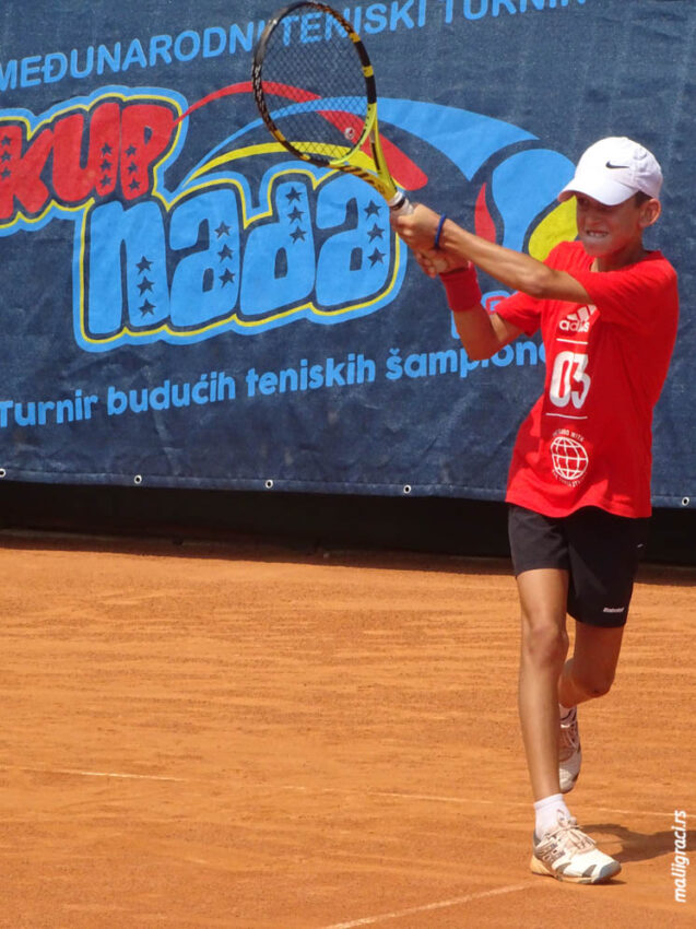 Вук Крстајић