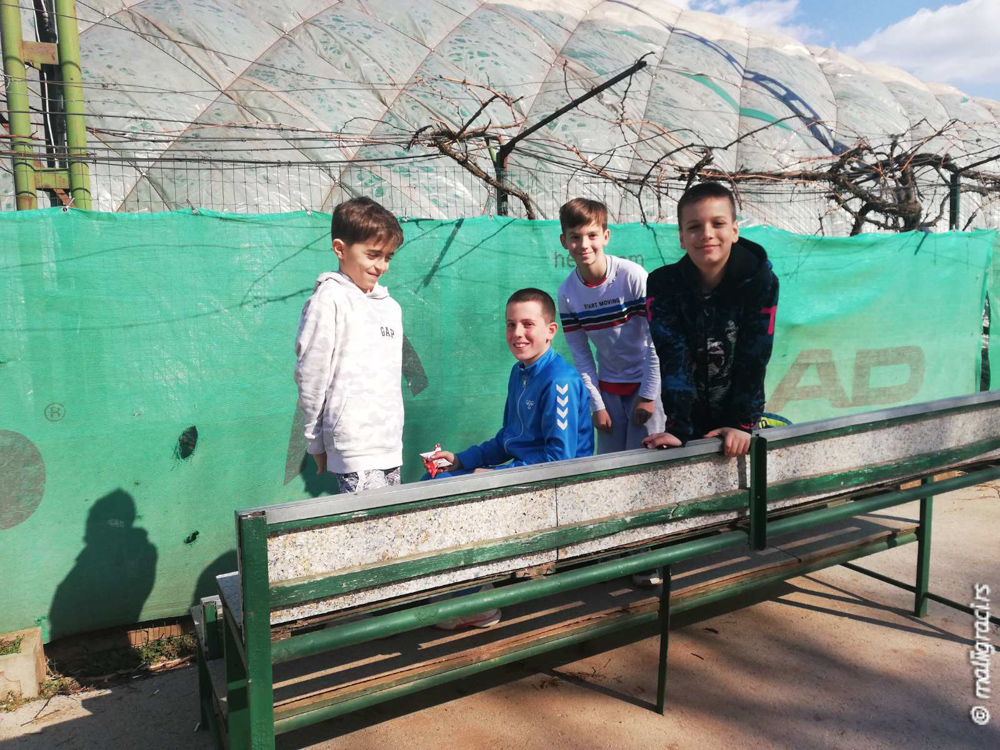 Đorđe Adamović, SERBIAN GRAND PRIX do 12 godina, Teniski klub TAŽ Niš, Teniska akademija Živković Niš, Švajcarac